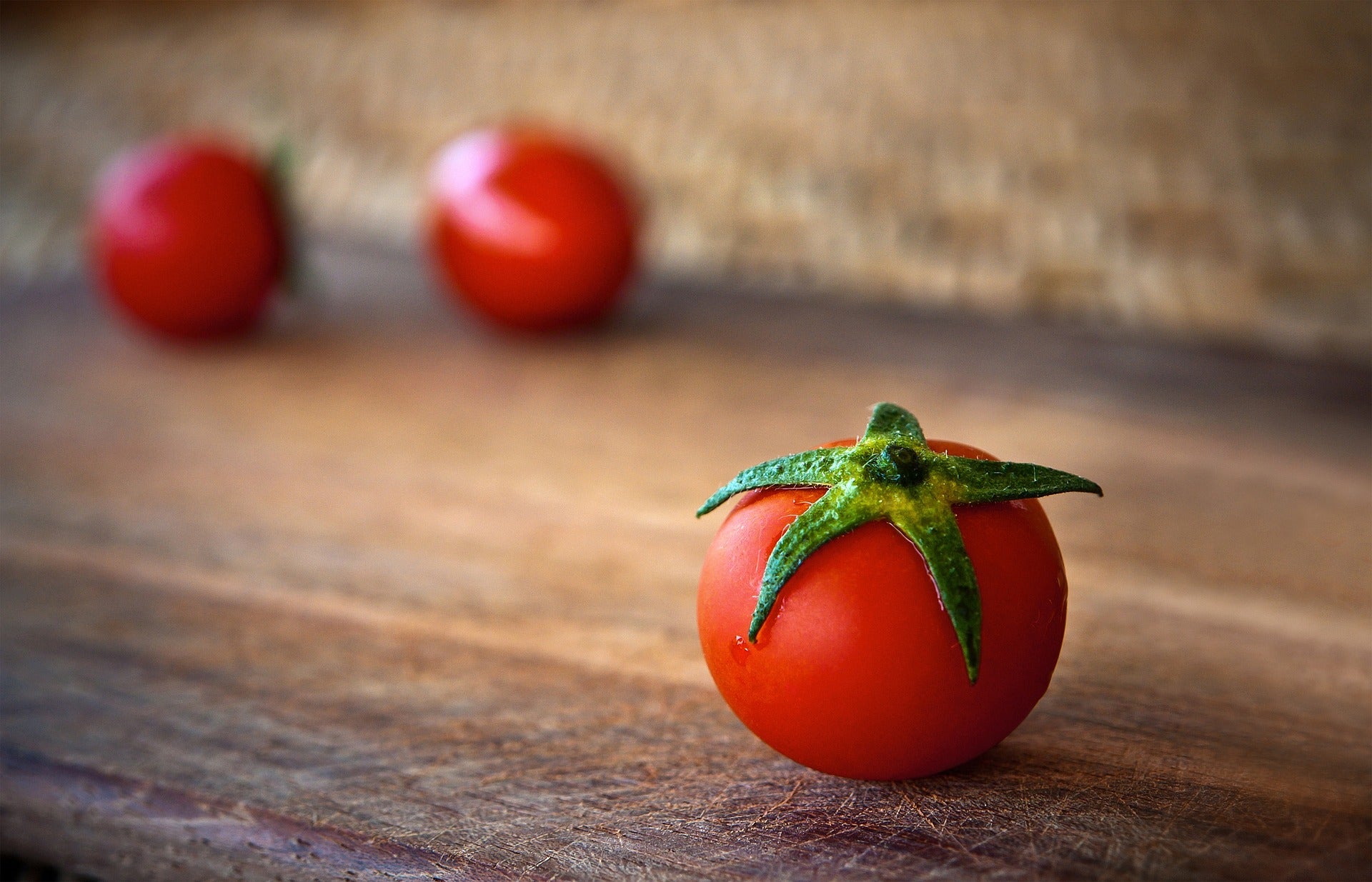 How Tomatoes Took Over Your Table! – Rotoshovel